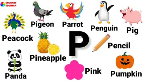 P Letter words in English | Words starting with Letter P | P Letter ...