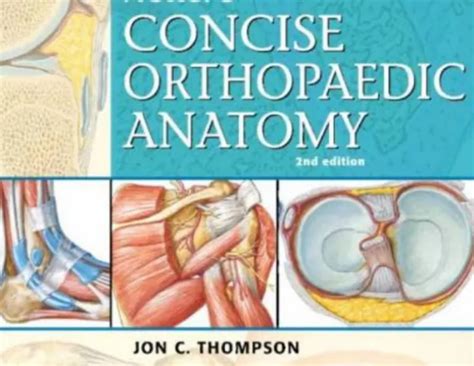 Netter’s Concise Orthopaedic Anatomy 2nd Edition PDF Free Download - Medical Study Zone