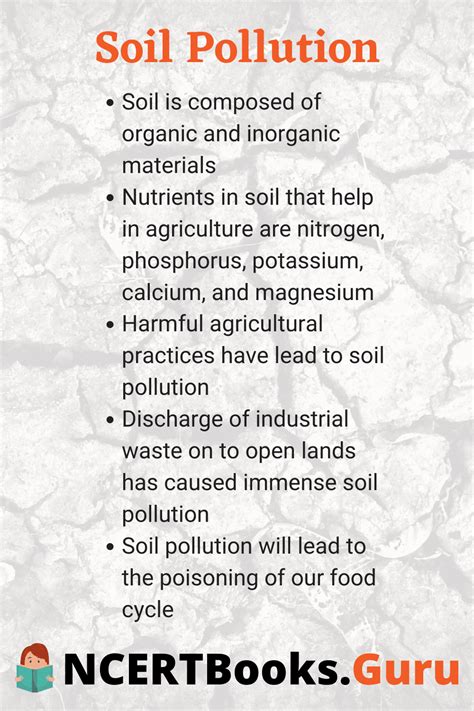 Soil Pollution Essay in English | Essay on Soil Pollution for Students