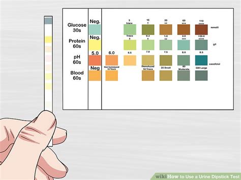 Urine Dipstick Color Chart