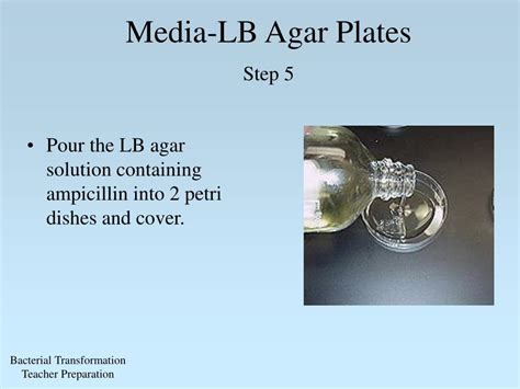 Lb Agar Recipe | Dandk Organizer