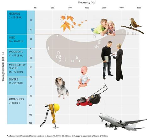 Types & Causes of Hearing Loss: Diagnosing Hearing Loss