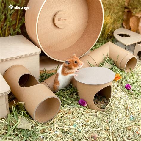 Buy Niteangel Creative & Composable Hamster Tunnel - DIY & Build Unique Tube Burrow as Hideout ...