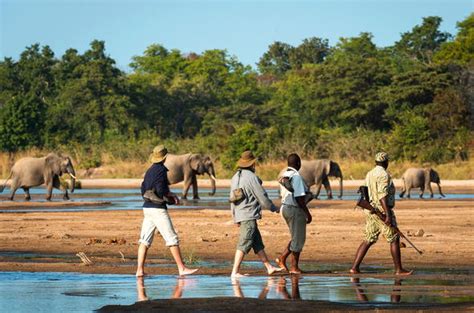 South Luangwa National Park - Zambia Regional Info