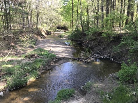 Bath Nature Preserve near Akron, Ohio - Sharing Horizons