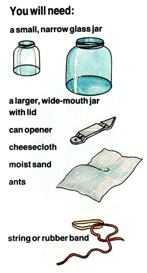 How To Make An Ant Farm for kids? - Arts and crafts for kids - Ency123