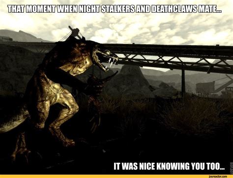 Fallout Funny Quotes. QuotesGram