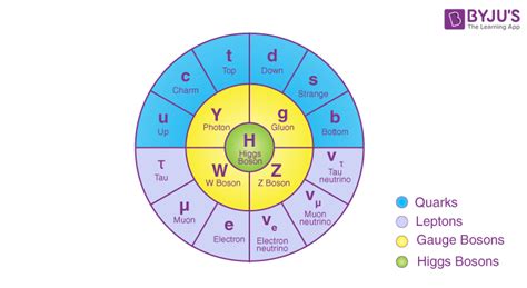 Higgs Boson - Higgs Field, God Particle, Discovery, FAQs