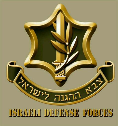 Israel Defence Forces, Defend Israel, Idf Women, New Jerusalem, Jewish ...