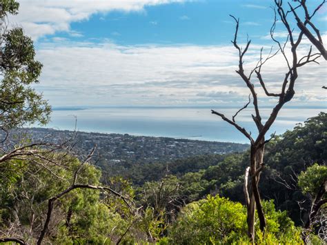 Arthur's Seat State Park