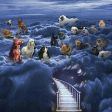 9 Jesus and the Animals in Heaven ideas in 2021 | jesus pictures, animals, jesus