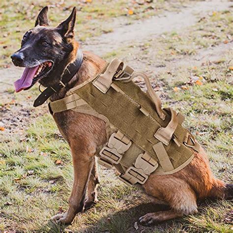 Top 10 Tactical Gear For Dogs of 2021 - HuntingColumn