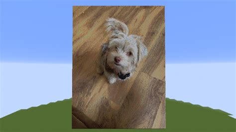 Pixel Art of my dog. (Bubby) Minecraft Map