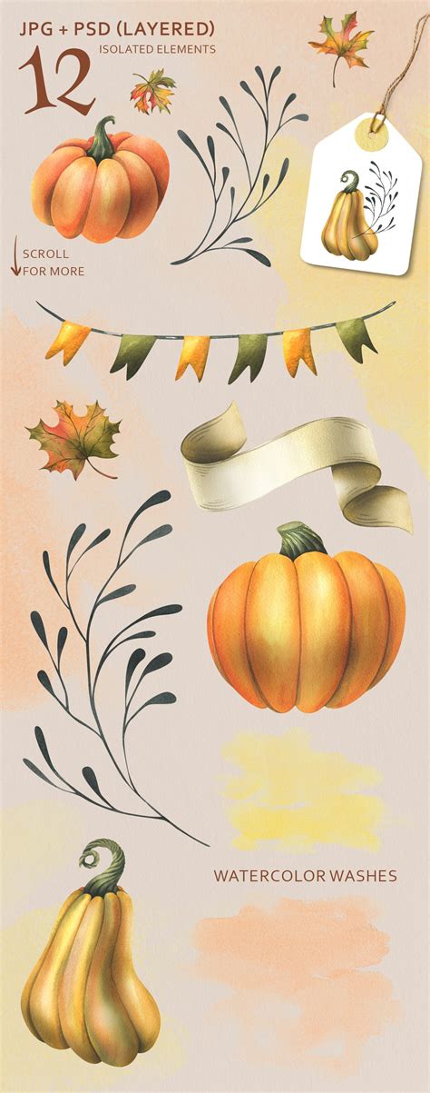 Pumpkin Harvest Watercolor Clip Art - Design Cuts