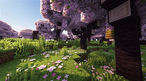 Minecraft Biomes Wallpaper