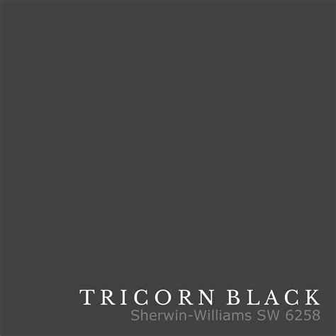 Tricorn Black Sample | Floating shelves, Black paint color, Shelves
