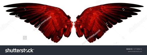 Angel Wings Red And Black: Over 3,604 Royalty-Free Licensable Stock ...