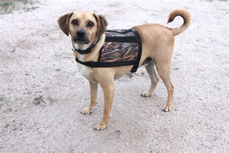 Dog Vest With Pockets Size Medium Mossy Oak Camo Water - Etsy