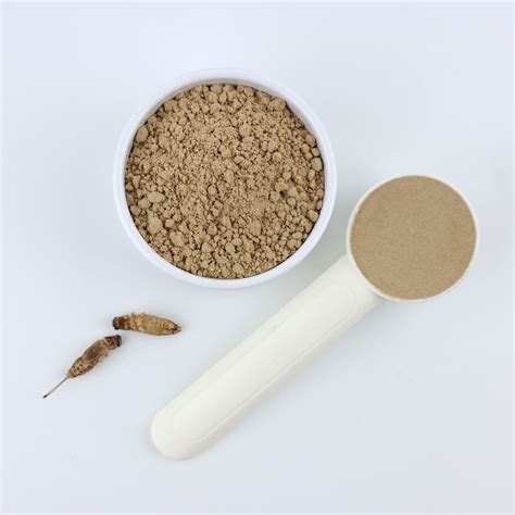 Cricket Powder Acheta Domestica 1kg