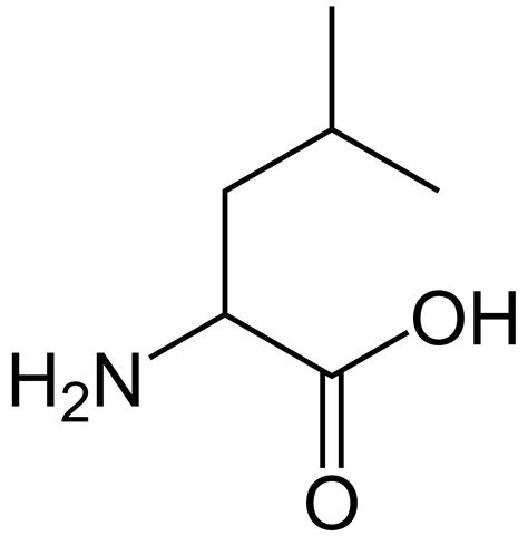 Leucine - Alchetron, The Free Social Encyclopedia