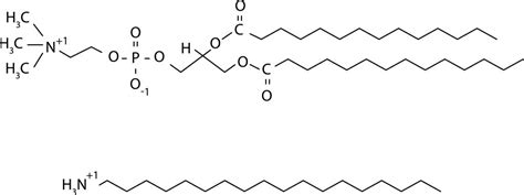 Characterizing Liposomes with DLS and Zeta Potential: Tools for Drug ...