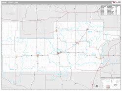 Sibley County, MN Map (Premium Style)