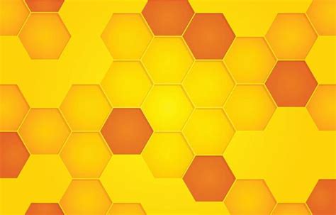 Honeycomb Vector Art, Icons, and Graphics for Free Download