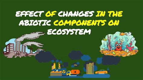 Effect of Changes in the Abiotic Factor on Ecosystem Grade 7 MELC - YouTube