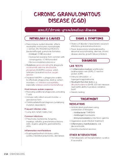 Chronic granulomatous disease: Video & Anatomy | Osmosis