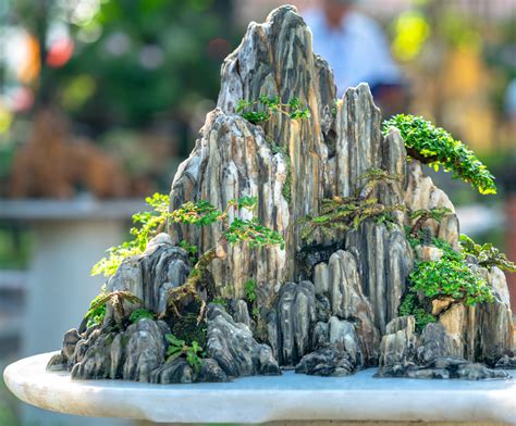 What is the Chinese Art of Penjing? (It's Not the Same as Bonsai)