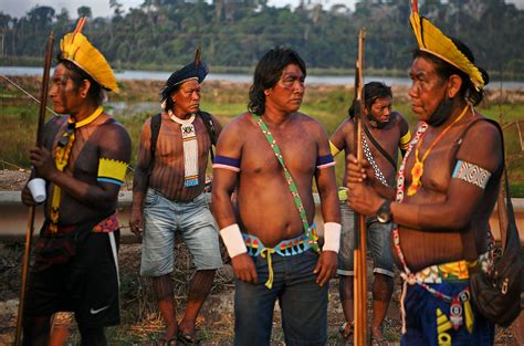 Indigenous groups in the Amazon evolved resistance to deadly Chagas ...