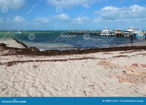 Denham - Shark Bay - Western Australia Stock Image - Image of western ...