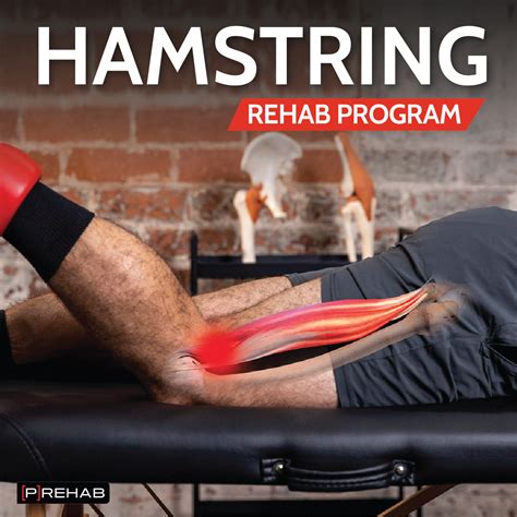 Rehab Hamstring - [P]rehab