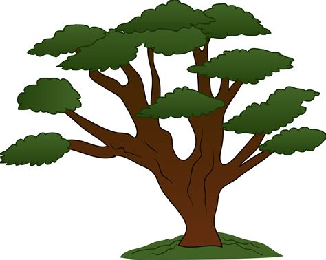 Trees family tree clipart free clipart images cliparting - Clipartix