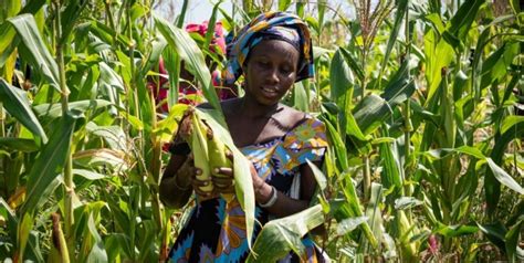 It’s time to transform African agriculture. These numbers show why