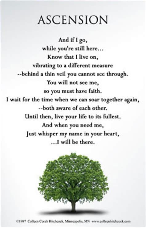 ascension by colleen hitchcock - Google Search | Stay positive quotes, Poem quotes, Quotes