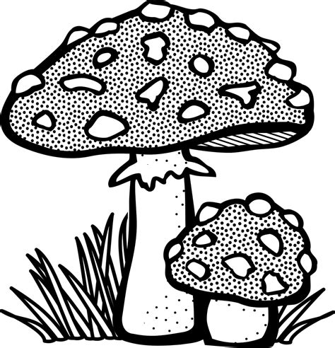 Mushrooms clipart line drawing, Mushrooms line drawing Transparent FREE ...