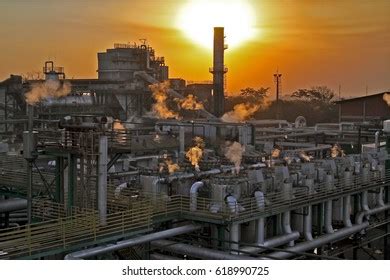 Sugarcane Plant Ethanol Production Stock Photo 618990725 | Shutterstock