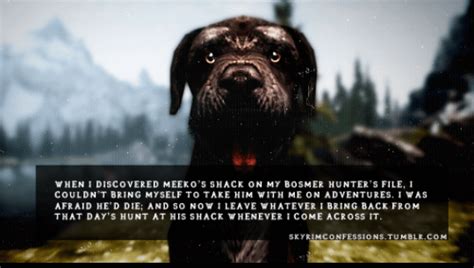 Meeko is always my soft spot in Skyrim : skyrim