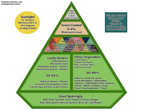 Redesigned Iguana feeding pyramid : r/iguanas