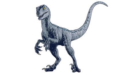 Jurassic world dominion Raptor blue render png by Junior3DSYMas on DeviantArt