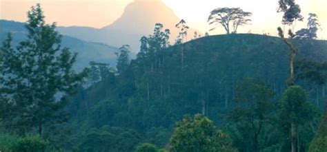 Filming of the Bridge on the River Kwai in Kitulgala Sri Lanka