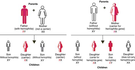 Hemophilia A | Hemophilia Treatment Center | ECU