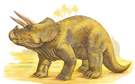 🔥 [17+] Triceratops Backgrounds | WallpaperSafari