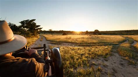 Sabi Sands Game Reserve: Ultimate Safari Travel Guide