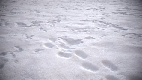 ArtStation - Snow Ground Texture | Substance Designer | Resources