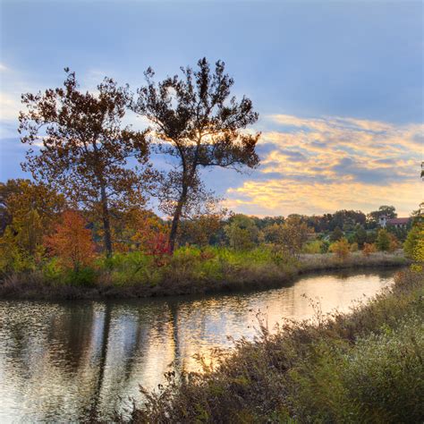 Wildlife island | Forest Park Forever