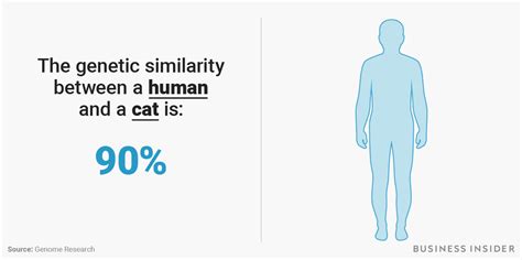 Comparing Genetic Similarity Between Humans, Chimpanzees, Cats, Banana ...