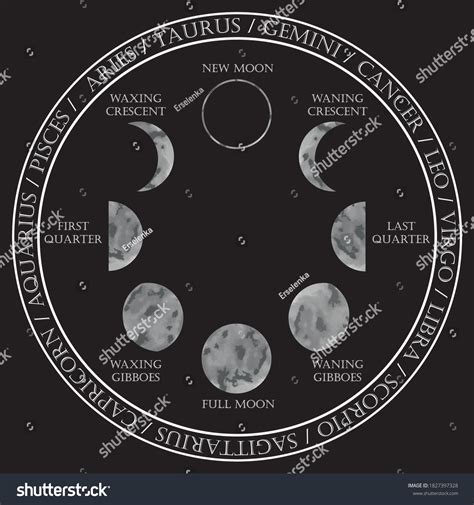 Moon Phases Illustrations Zodiac Signs Astrological Stock Vector ...