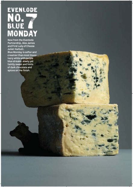 Blue Monday cheese suppliers, pictures, product info